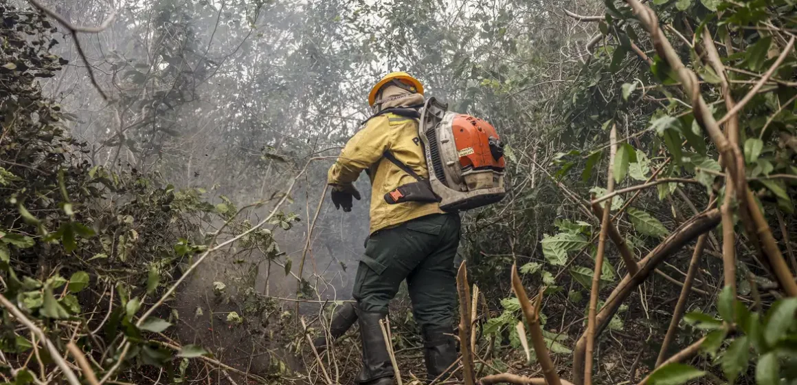 Dino manda governo ampliar combate ao fogo na Amazônia e no Pantanal