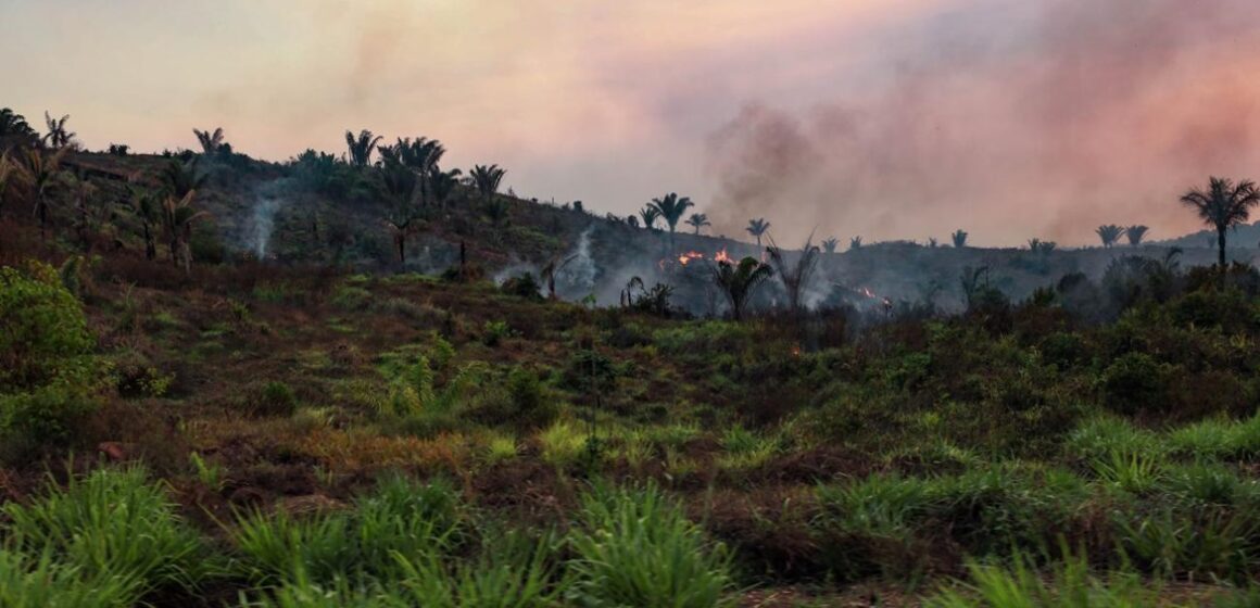 Pará decreta emergência e proíbe uso de fogo em pastagens