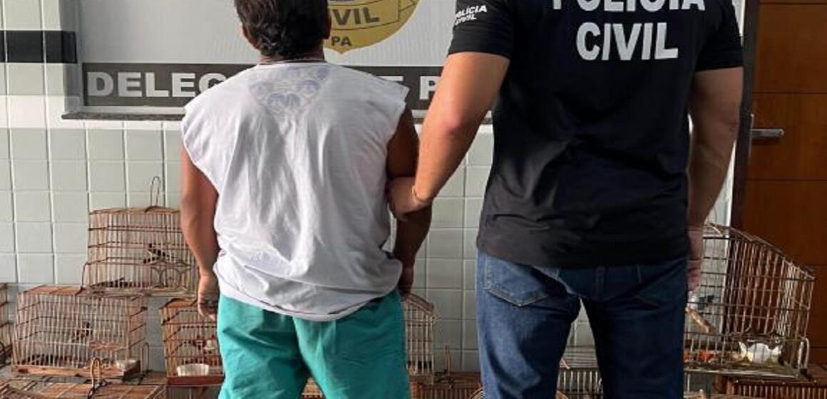up_ag_58715_16ca79b4-3546-a7a1-49ff-030436de468a Em Bragança, polícia prende homem em flagrante por crime ambiental e resgata 18 animais silvestres