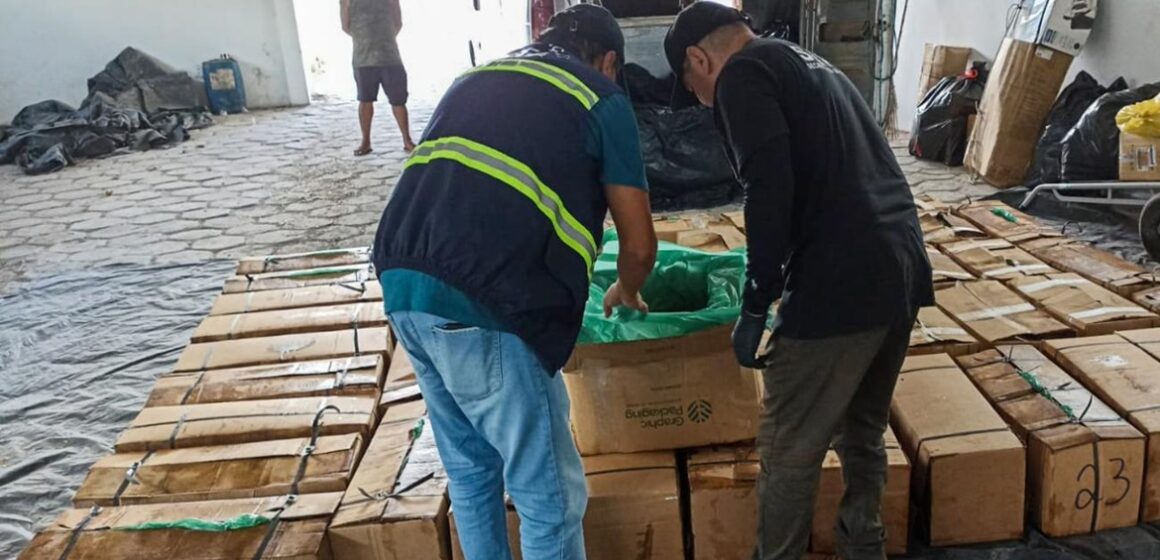 Sefa apreende mais de uma tonelada de camarão em Cachoeira do Piriá