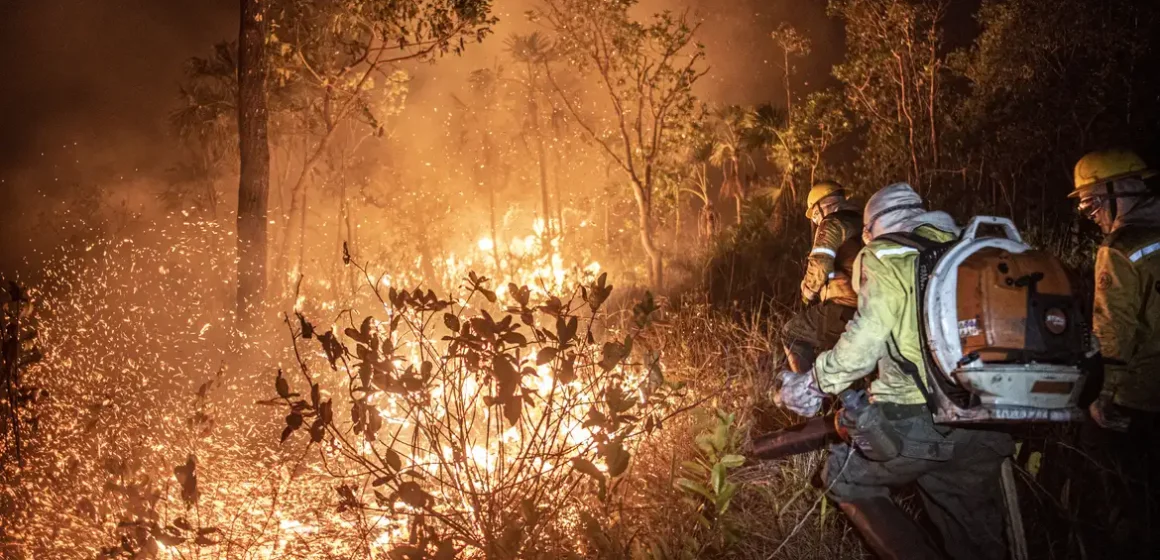 Manejo com fogo, contrafogo e queimada – entenda a diferença