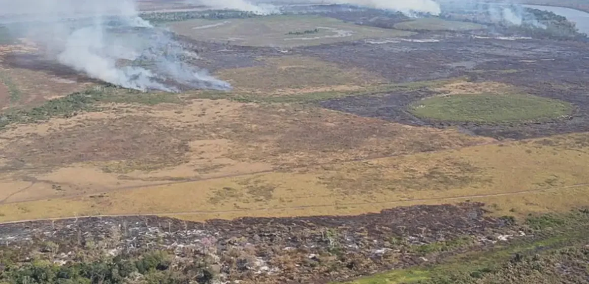 Emissão de gases por incêndios é recorde em dois estados