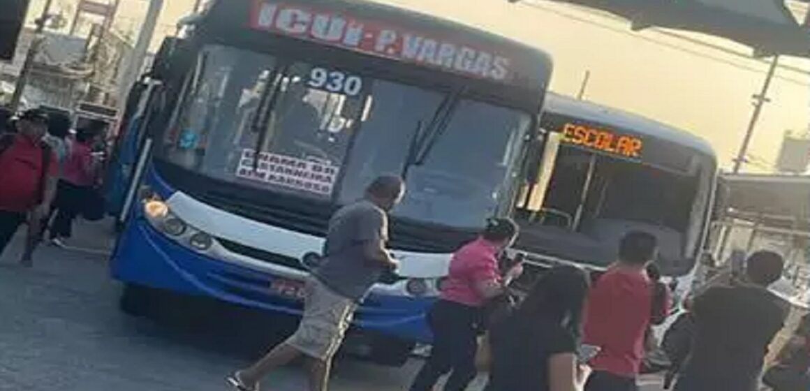 Dois ônibus colidem na BR-316, em Ananindeua