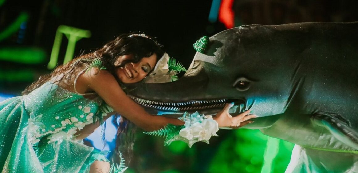 Festival dos Botos no Çairé 2024 tem o Boto Tucuxi como campeão