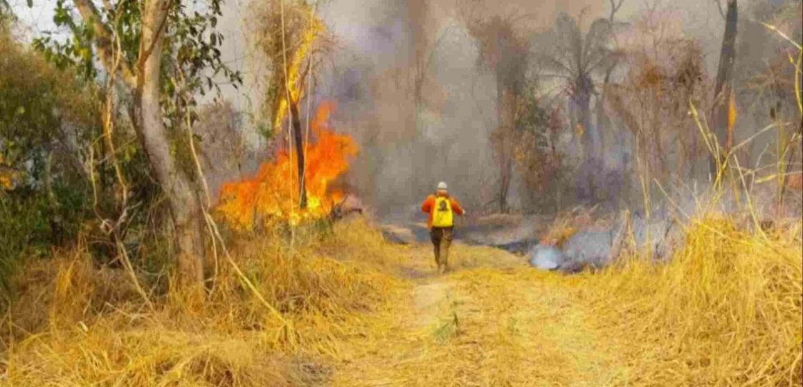 Brasil envia equipe de bombeiros para combater incêndios na Bolívia