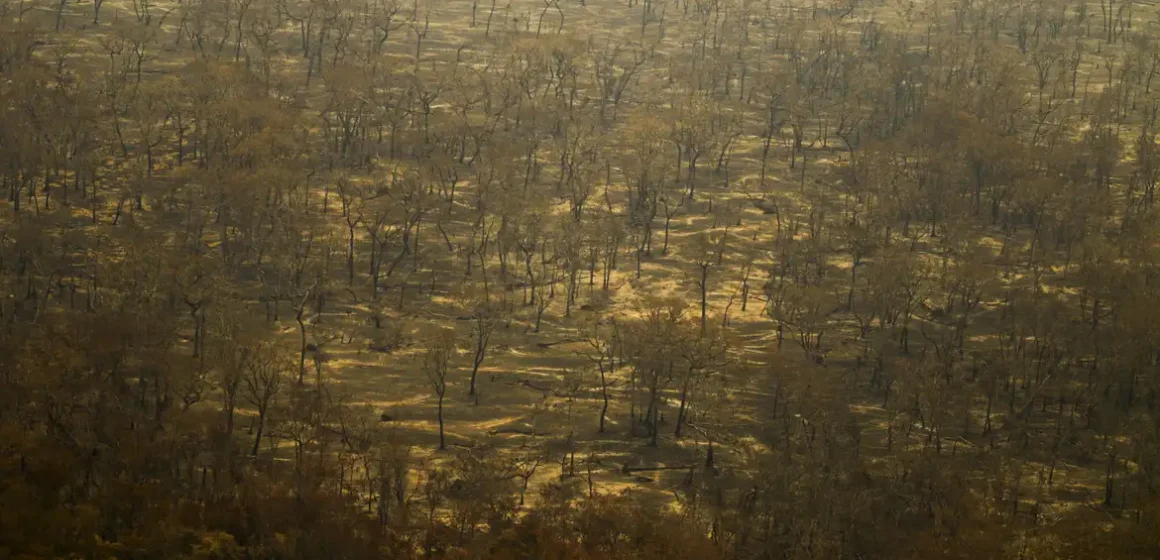 Incêndios e seca na Amazônia e no Pantanal batem marcas históricas