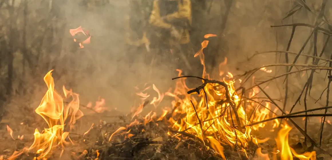 Incêndios em São Félix do Xingu lideram números há semanas em todo o país