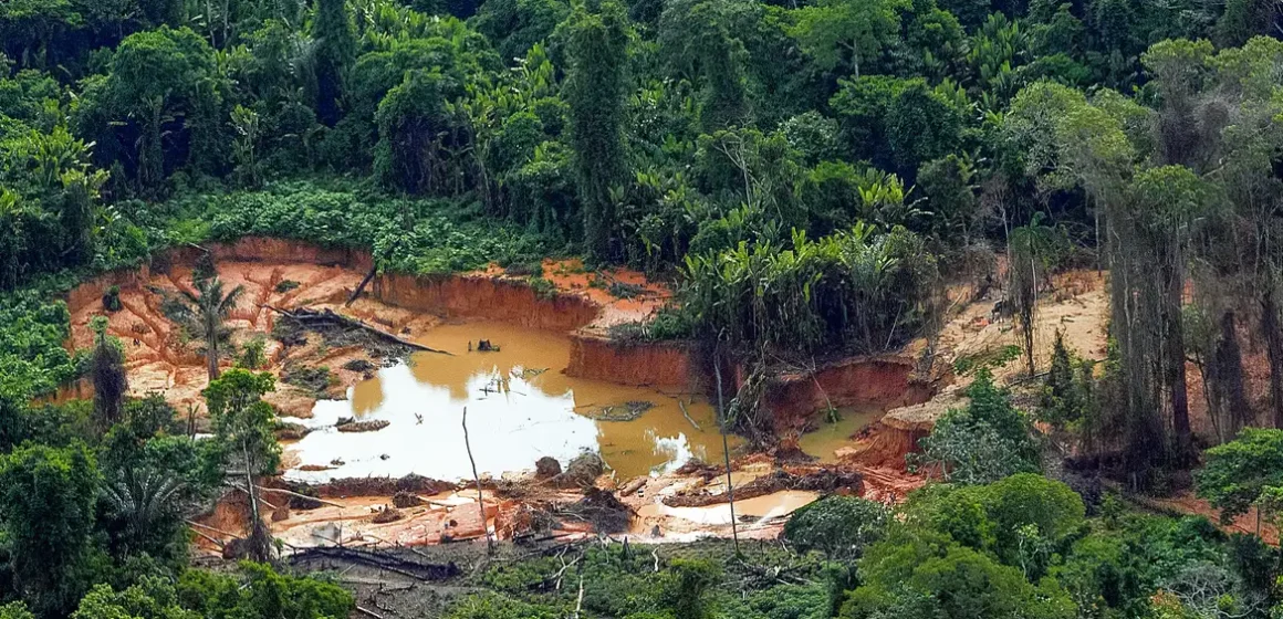 Maior fiscalização provoca queda de 84% na extração de ouro