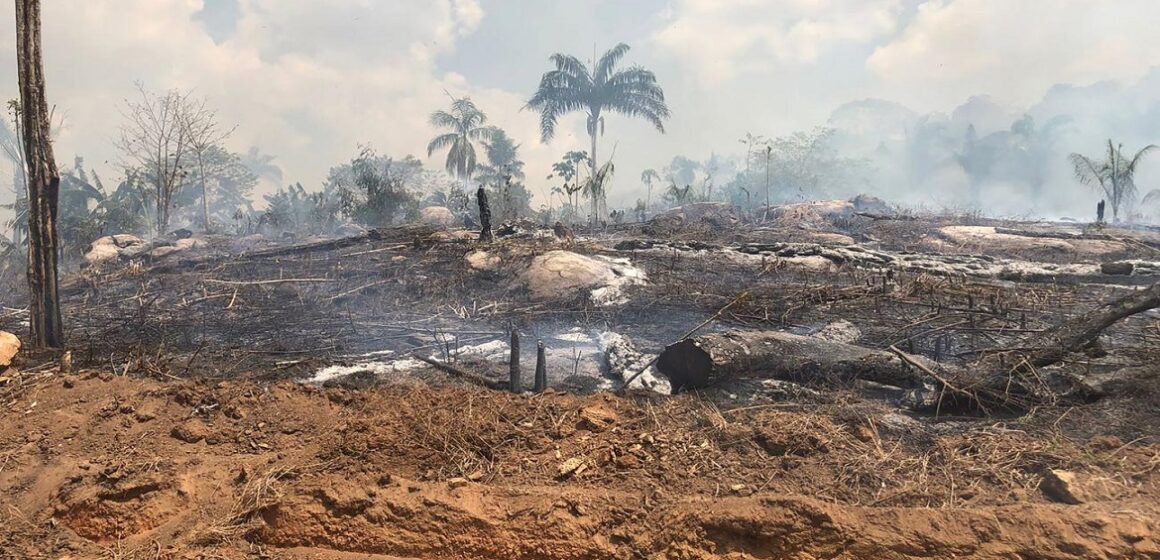 Homem é preso em Ourilândia suspeito por incêndio em assentamento