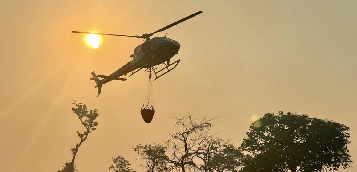Ações combatem focos de incêndios no território paraense