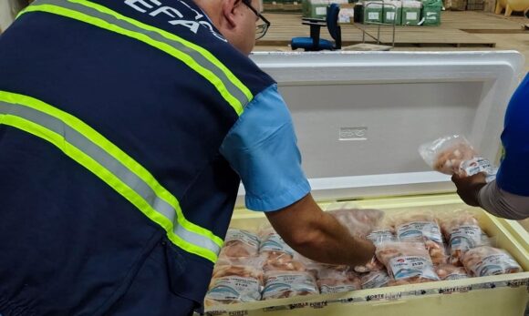 Em Dom Eliseu, 500 quilos de camarão sem nota fiscal são apreendidos
