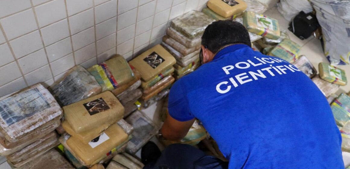 Entorpecentes apreendidos em Breves passam por perícia pela Polícia Científica
