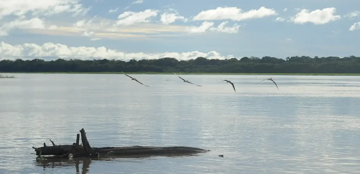 Seca: governo paga auxílio para pescadores da Região Norte