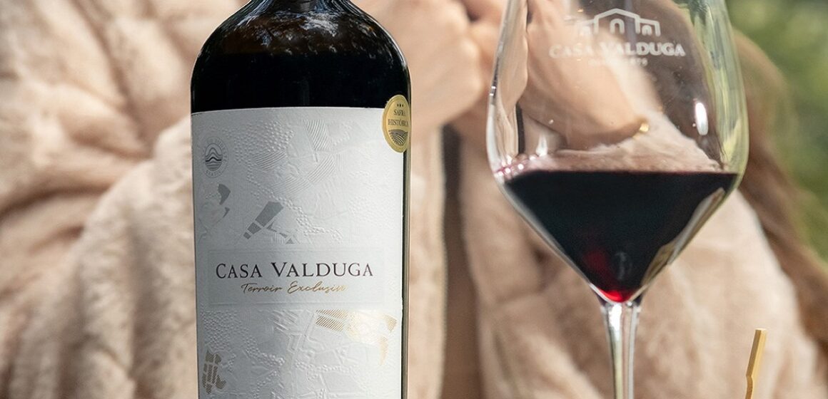 Primeira vinícola do Brasil entre as 100 melhores do mundo é a Casa Valduga, no Rio Grande do Sul