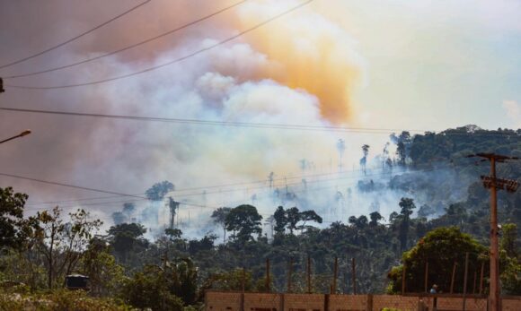 Bombeiros afirmam que o Pará registrou mais de 11 mil ocorrências de incêndios florestais este ano