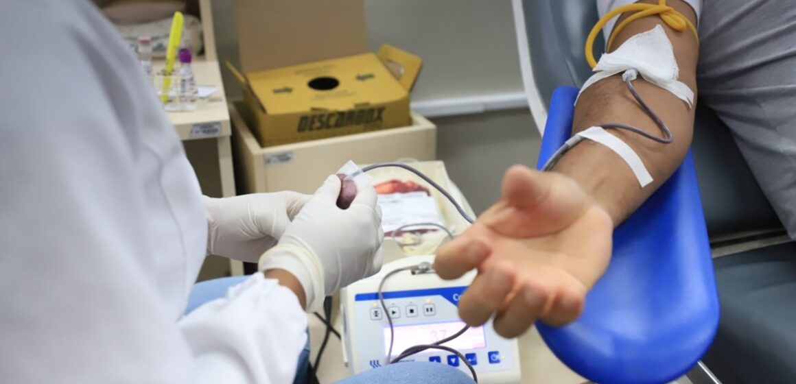 18456_395a6f7a-b3a4-2e3d-3c8b-4b524de2b6d4 Hemopa registra aumento de 15% na coleta de sangue em novembro com campanhas