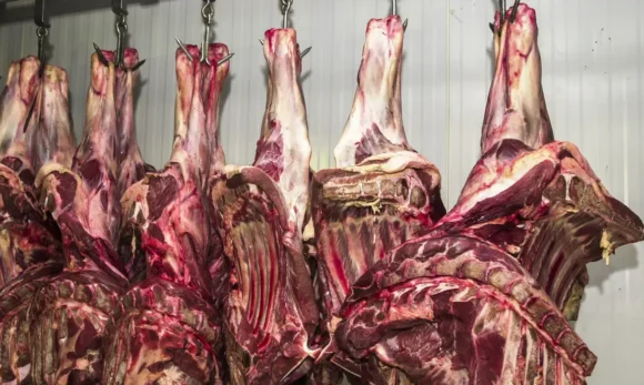 China abre investigação sobre importação de carne bovina