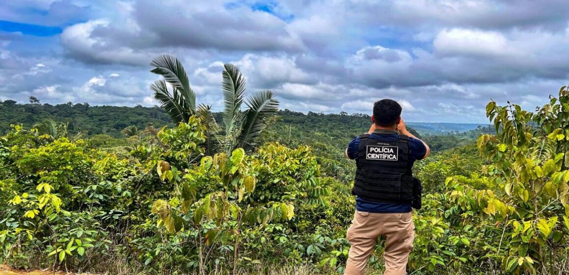 Desmatamento no Pará reduz 28,4% com operações Curupira e Amazônia Viva