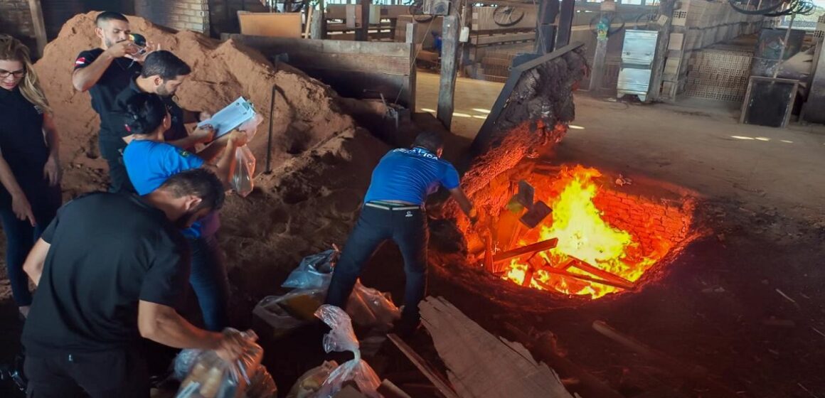 Quase 200 Kg de drogas são incineradas em Altamira
