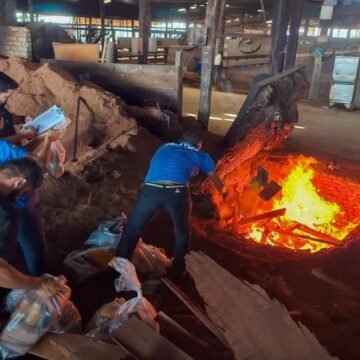 Quase 200 Kg de drogas são incineradas em Altamira
