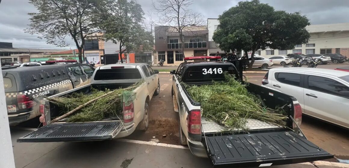 Polícia prende homem em Altamira por tráfico de drogas e posse irregular de arma de fogo