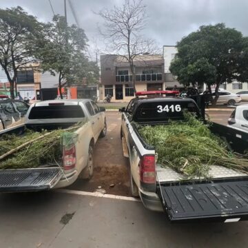 Polícia prende homem em Altamira por tráfico de drogas e posse irregular de arma de fogo