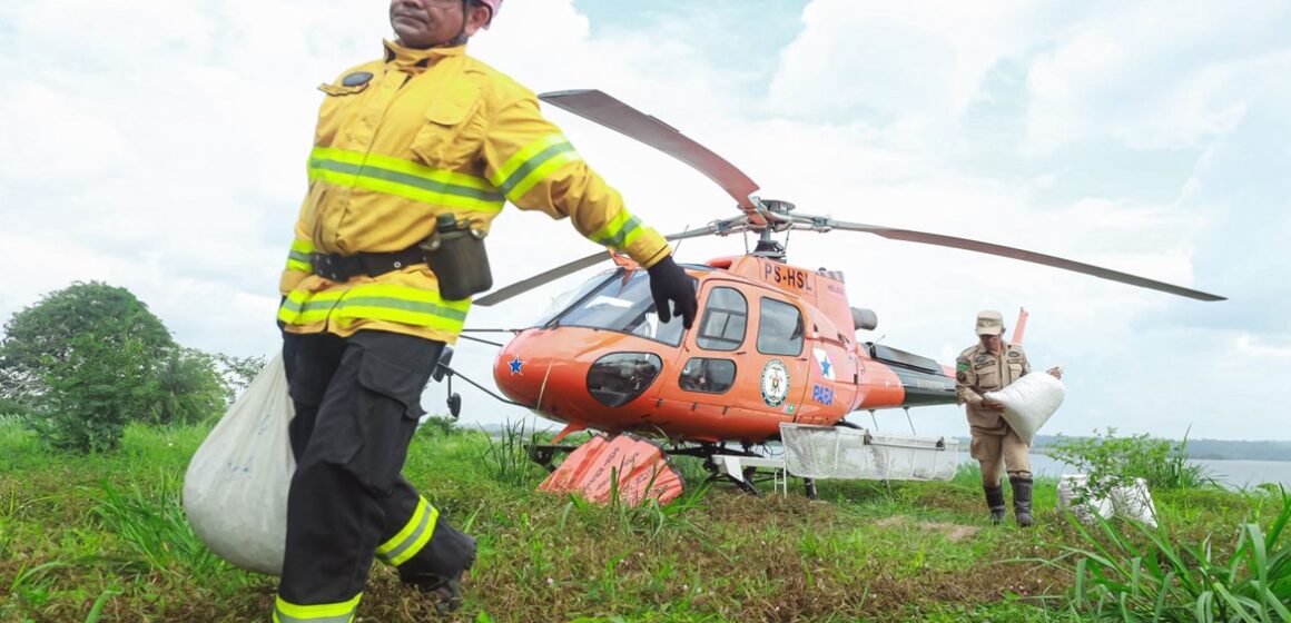 Operação inédita é realizada no Pará para recuperar áreas afetadas por incêndios florestais