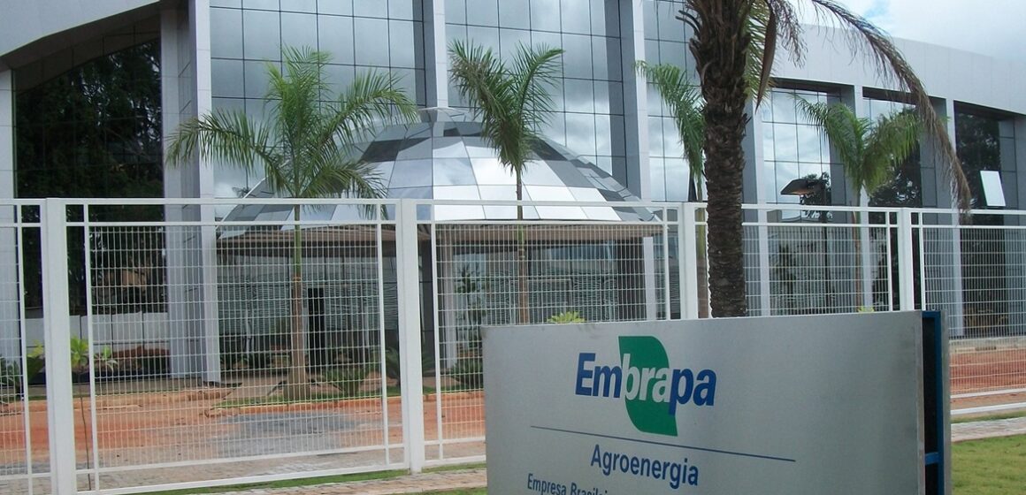 Embrapa prorroga inscrições do seu concurso