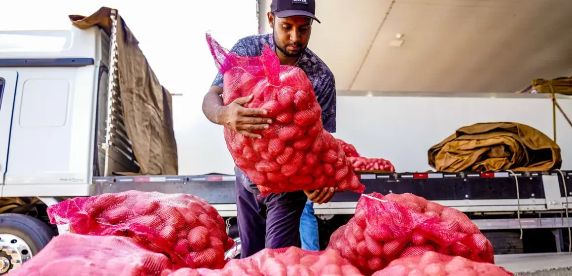 Conab aponta queda de preço da batata e alta da cebola e tomate