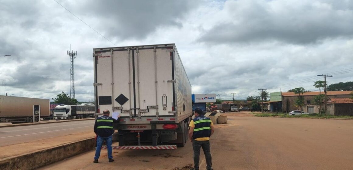 Dez toneladas de açaí congelado são apreendidas no Pará