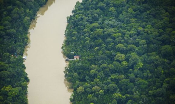 10318_25ae755a-91e6-ac6e-2130-9678e8a956d9 Pará se destaca na Amazônia com redução de 15% na área recoberta por alertas de desmatamento