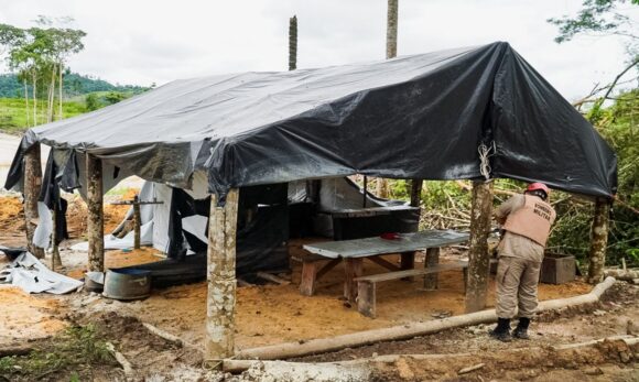 15951_0aa3aeb5-dd18-5a87-98d9-08370566dd6b Operação Curupira contabiliza mais de 1,7 mil inspeções conjuntas em 2 anos no Pará