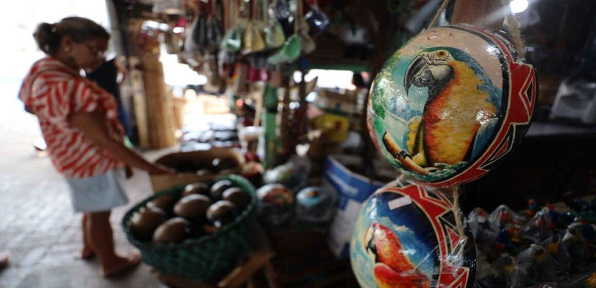 COP 30 em Belém impulsiona crescimento da abertura de MEIs no Pará