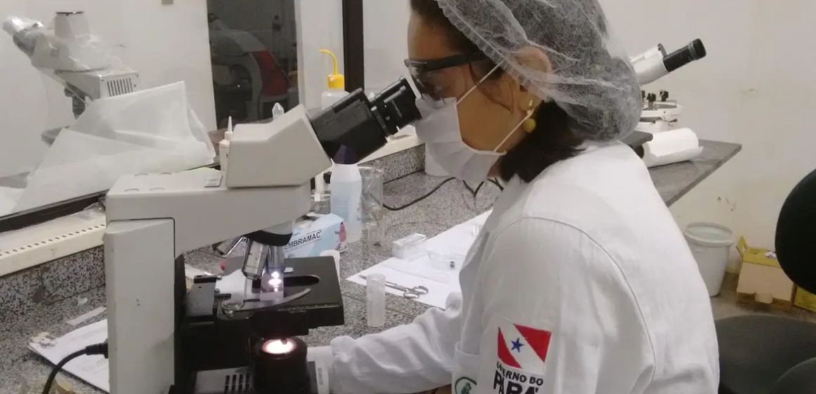 Pará registra redução nos casos de doença de Chagas em 2024