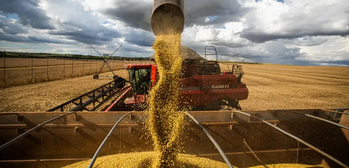 Exportações do agro brasileiro caem em 2024 após 4 anos de alta