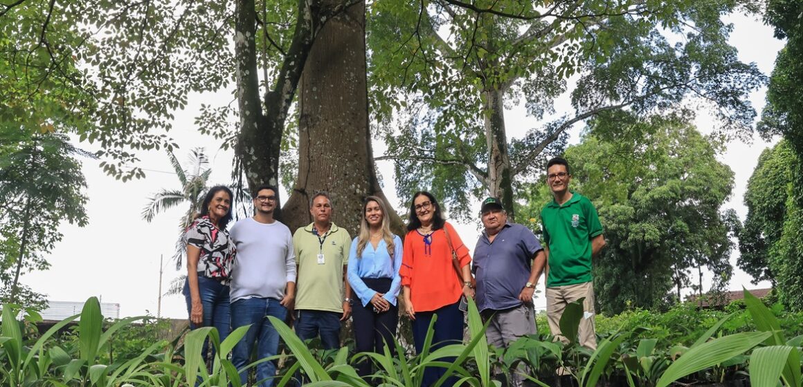Granja Modelo garantirá a ampliação da arborização em Belém