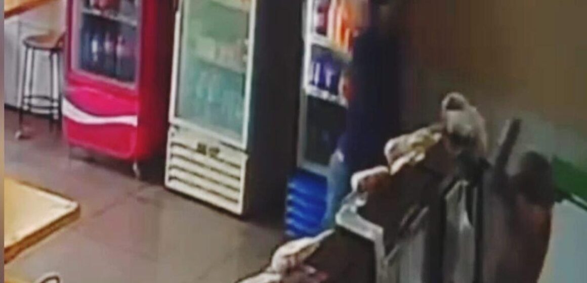 GjWtvveXgAAD8Rq Cliente se irrita com preço do pão em Parauapebas e ataca funcionária de padaria com faca