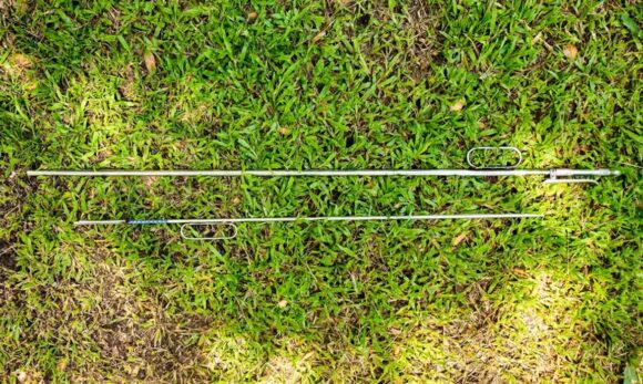 Tecnologia desenvolvida no Pará promete transformar o manejo de florestas e a arborização urbana