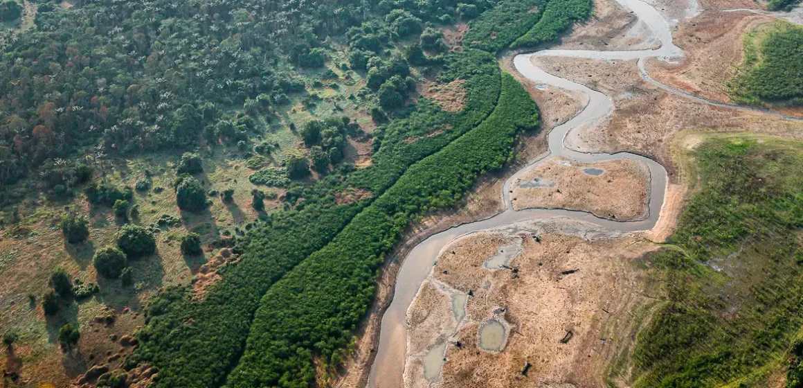 Pesquisa com bactérias na Amazônia pode desenvolver novos medicamentos