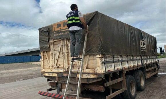 Em Marabá, mais de 7 mil garrafas de cachaça são apreendidas na rodovia Transamazônica