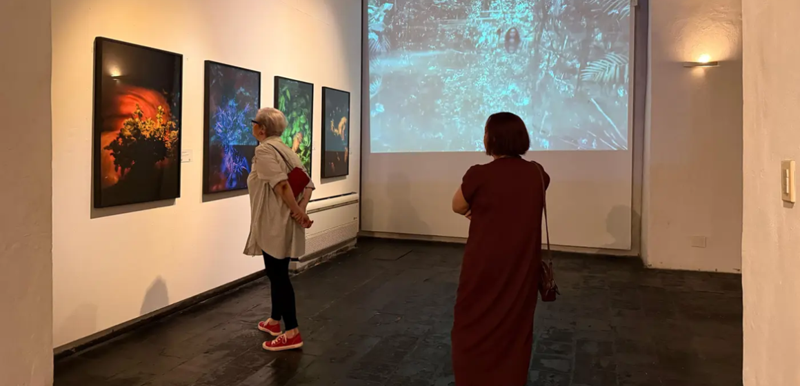Galeria Fidanza celebra as mulheres com a mostra ‘De todas, uma: A Amazônia Presente’