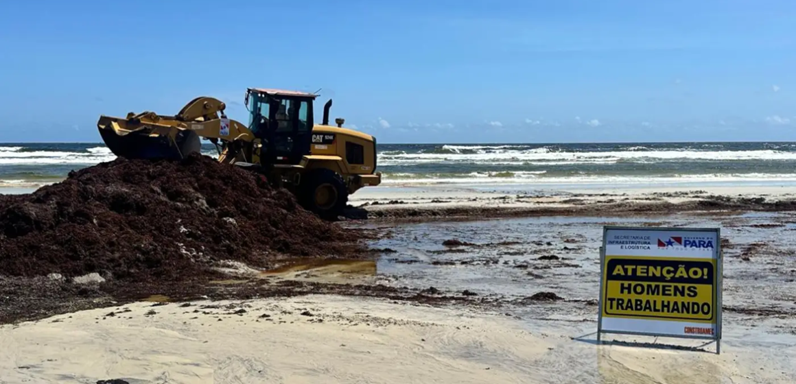 Governo do Pará realiza ação para remoção de algas na Praia do Atalaia