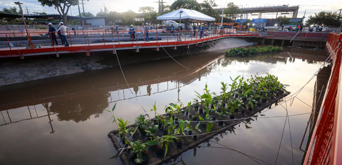 Paisagismo sustentável é destaque em avanço da obra da Nova Doca