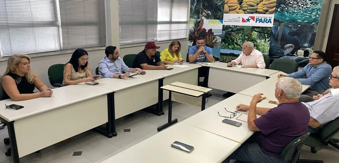 Representantes de produtores de açaí e Sedap reúnem para tratar da participação da cadeia na COP 30