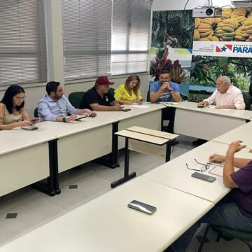 Representantes de produtores de açaí e Sedap reúnem para tratar da participação da cadeia na COP 30