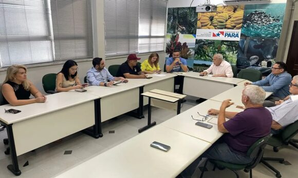Representantes de produtores de açaí e Sedap reúnem para tratar da participação da cadeia na COP 30