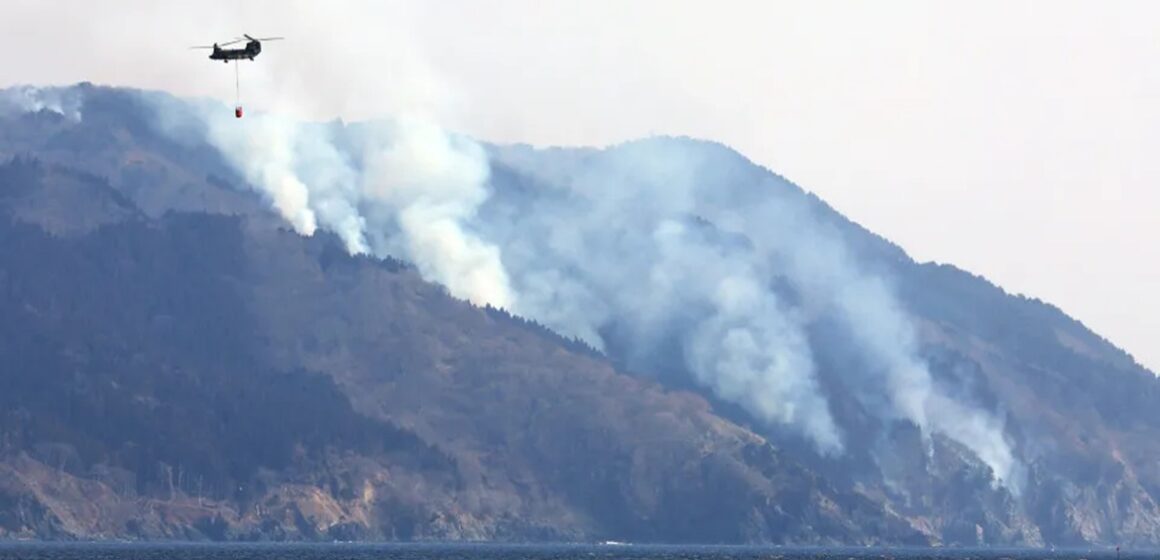 Pior incêndio florestal desde 1992 devasta Nordeste do Japão