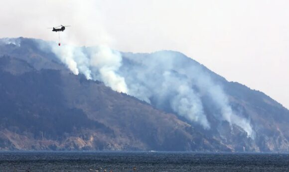 Pior incêndio florestal desde 1992 devasta Nordeste do Japão