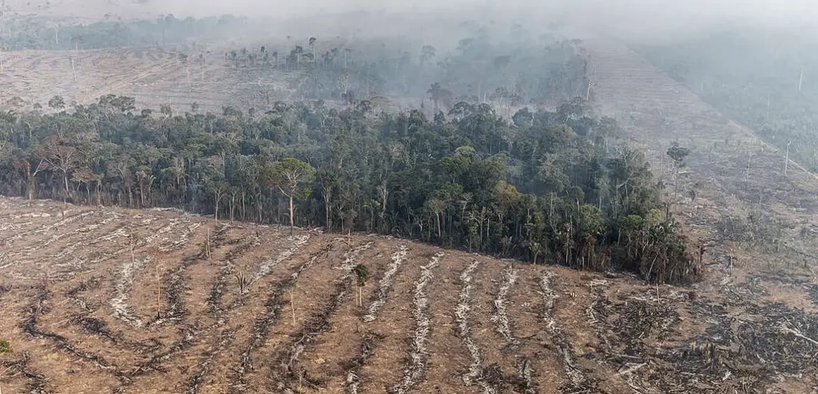 Fundo Amazônia terá contribuição de R$ 91 milhões da Irlanda