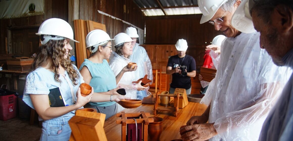 Cooperativa do Pará é um modelo de gestão sustentável da floresta